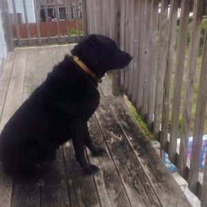 Meet your Posher, Eve